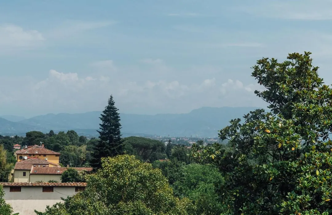 Buonvisi B&B-1